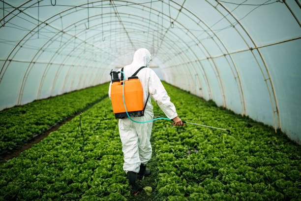 Best Affordable Pest Control Services  in Naugatuck, CT