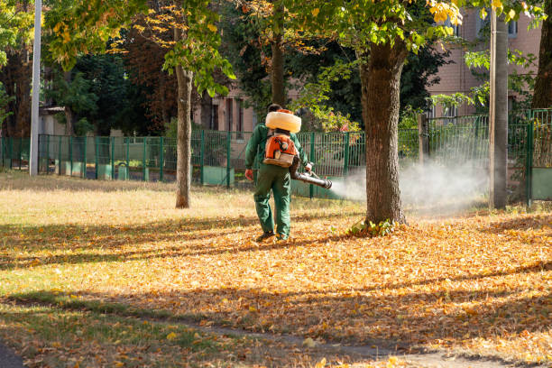 Trusted Naugatuck, CT Pest Control Experts