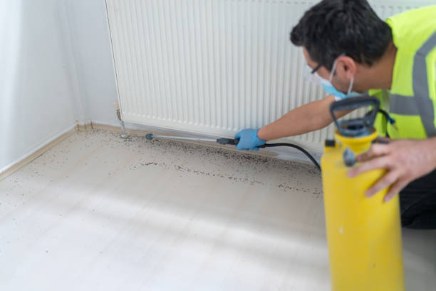 Best Mosquito Control Services  in Naugatuck, CT